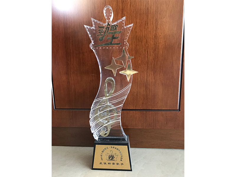 獲第八屆最佳新晉歌手獎(jiǎng)