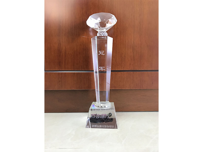 《百變美人計(jì)》冠軍